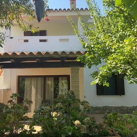 House With Garden In *